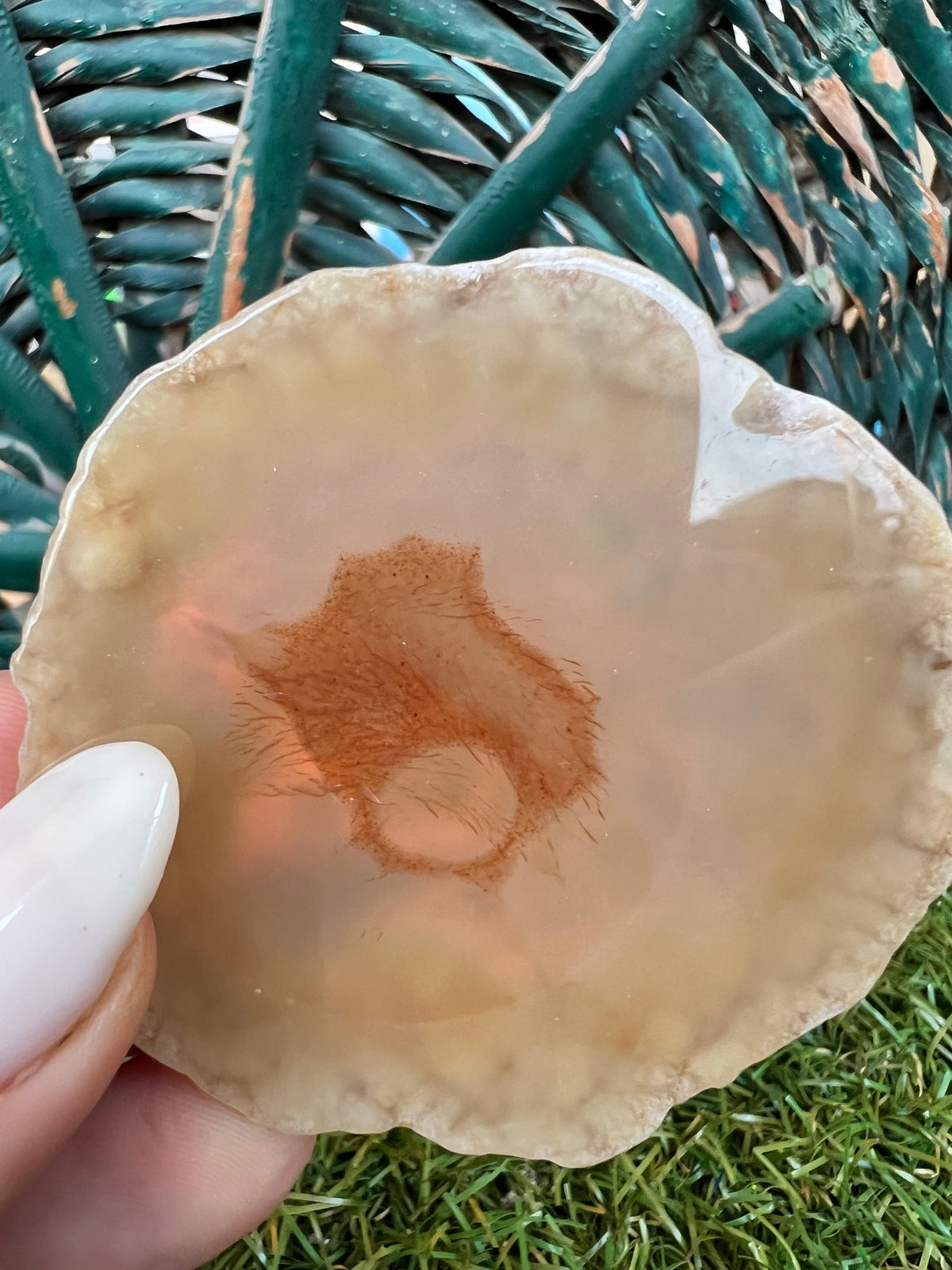 Natural Agate Eye Slice – Protection, Intuition & Grounding | 46g