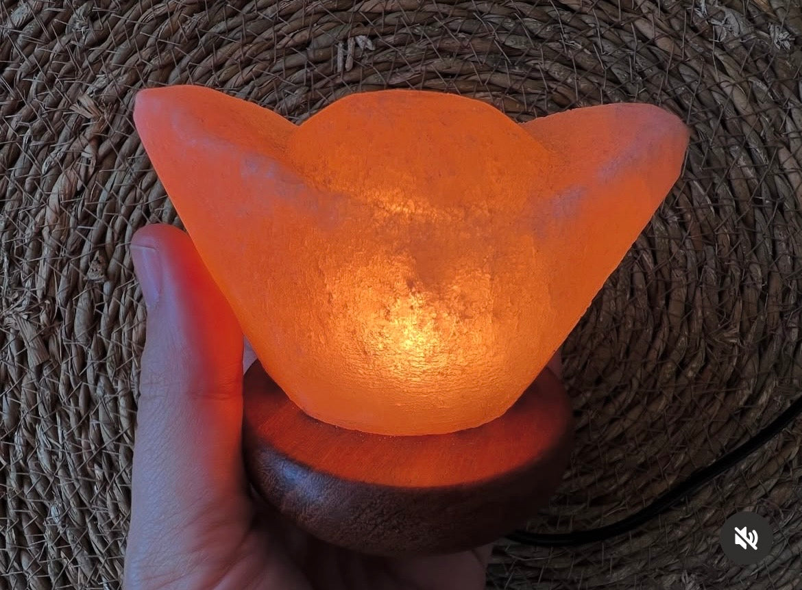 Purifying Himalayan Salt Lotus Lamp