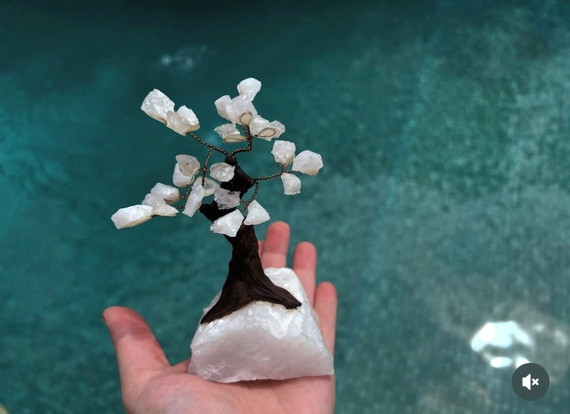 Clarity & Energy Natural Milky Quartz Crystal Tree