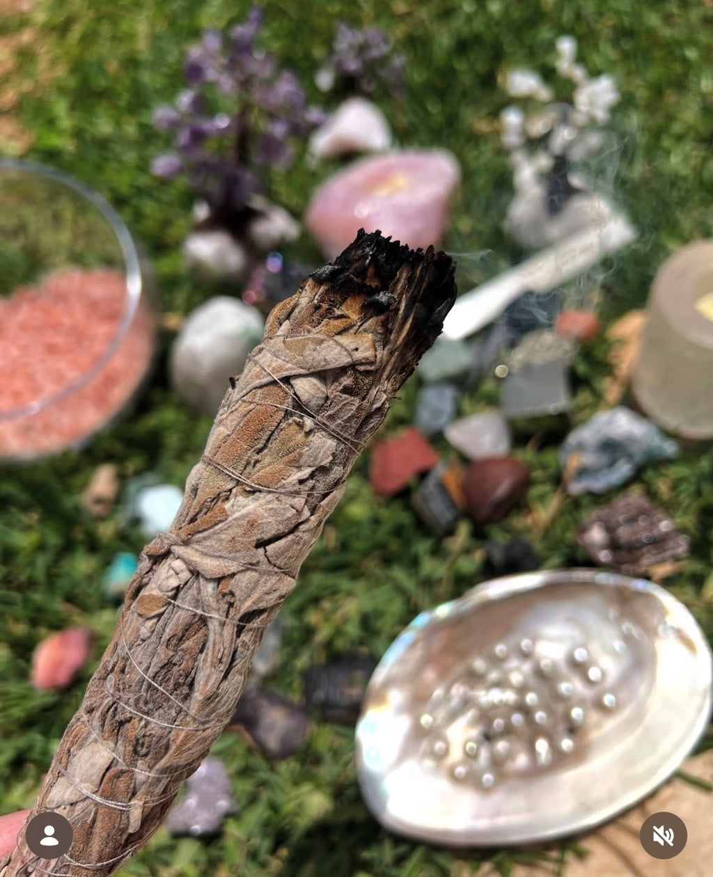 Fresh Sage Smudge Bundle – Natural Cleansing Stick