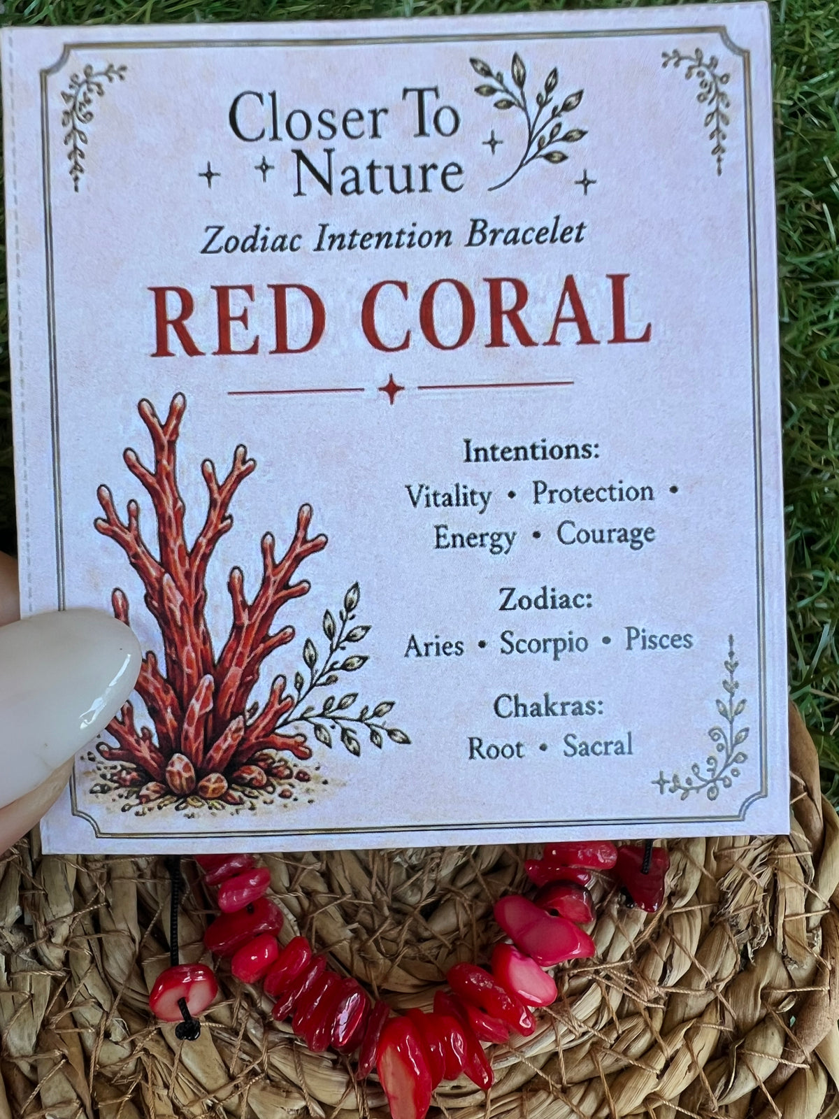 Red Coral Zodiac Bracelet – Vitality, Protection & Courage | Aries, Scorpio & Pisces