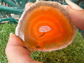 Natural Druzy Agate Slice – Energy, Balance & Protection | 38 g