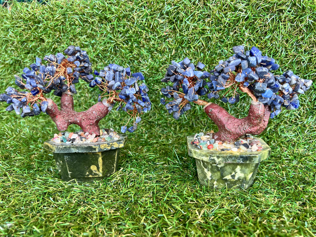 Natural Sodalite Bonsai Tree | Genuine Gemstone Tree in a Hand-Carved Natural Green Stone Pot | Wisdom & Communication