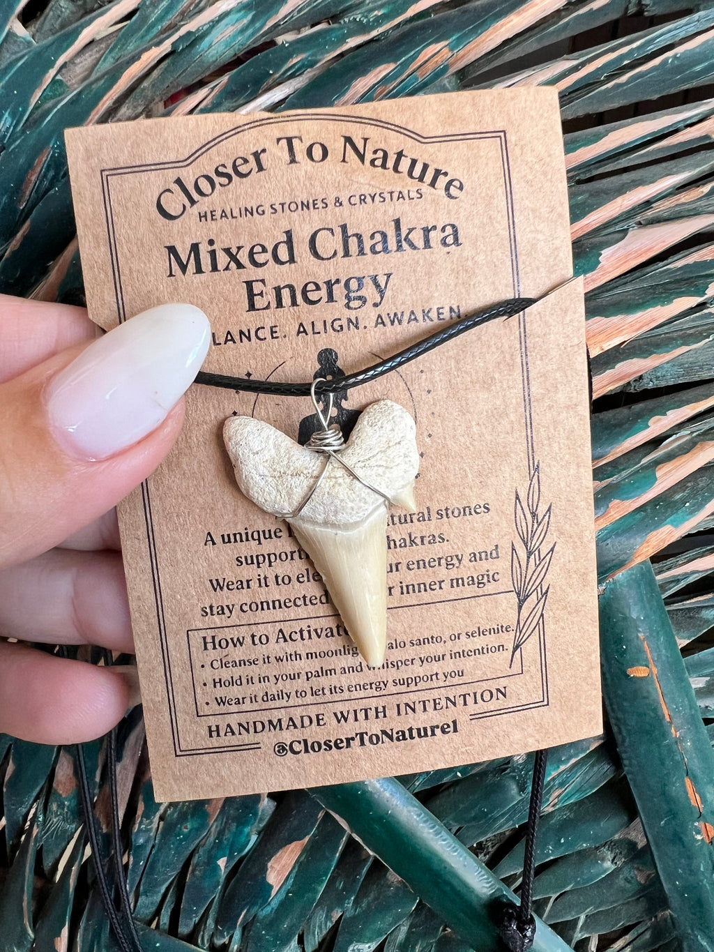 Genuine Fossilized Shark Tooth Necklace | Millions of Years Old | Adjustable Cord | Medium & Large