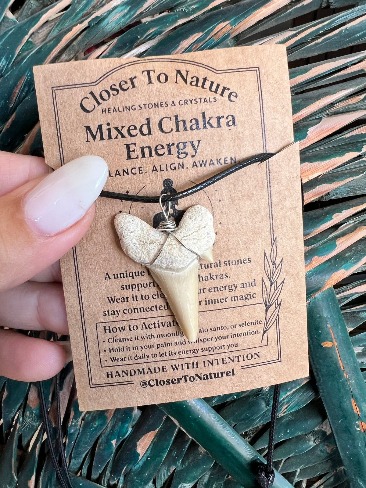 Genuine Fossilized Shark Tooth Necklace | Millions of Years Old | Adjustable Cord | Medium & Large