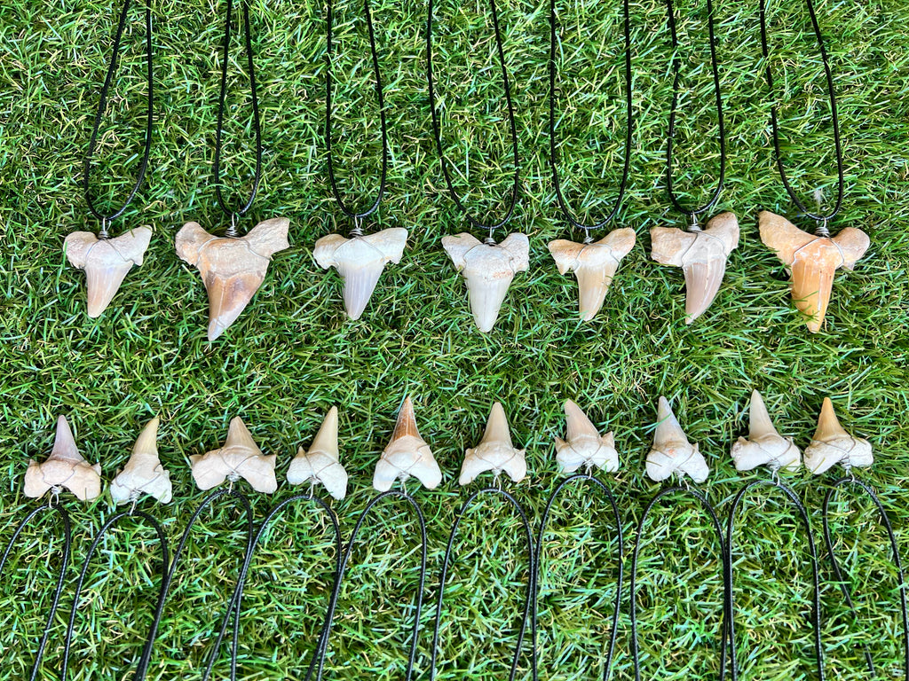 Genuine Fossilized Shark Tooth Necklace | Millions of Years Old | Adjustable Cord | Medium & Large