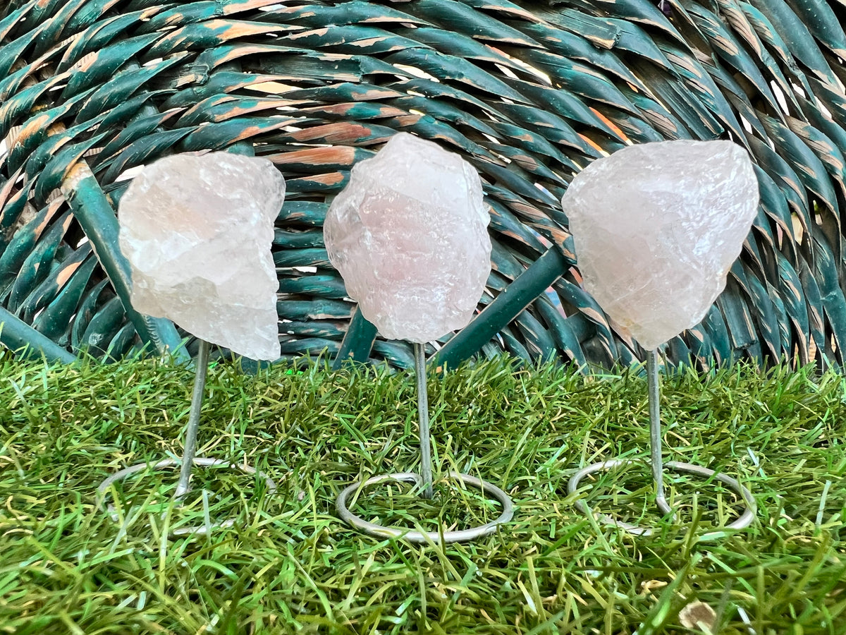 Natural Raw Rose Quartz on Metal Stand | Crystal Display | Approx. 8 cm | Love, Harmony & Emotional Healing