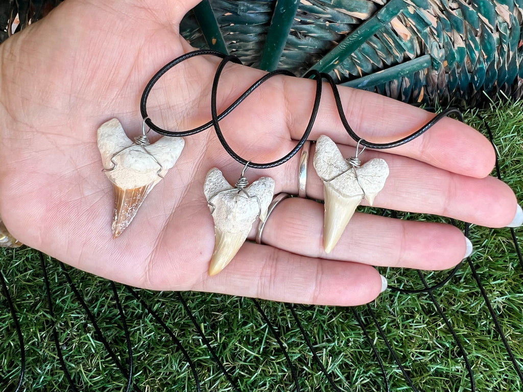 Genuine Fossilized Shark Tooth Necklace | Millions of Years Old | Adjustable Cord | Medium & Large