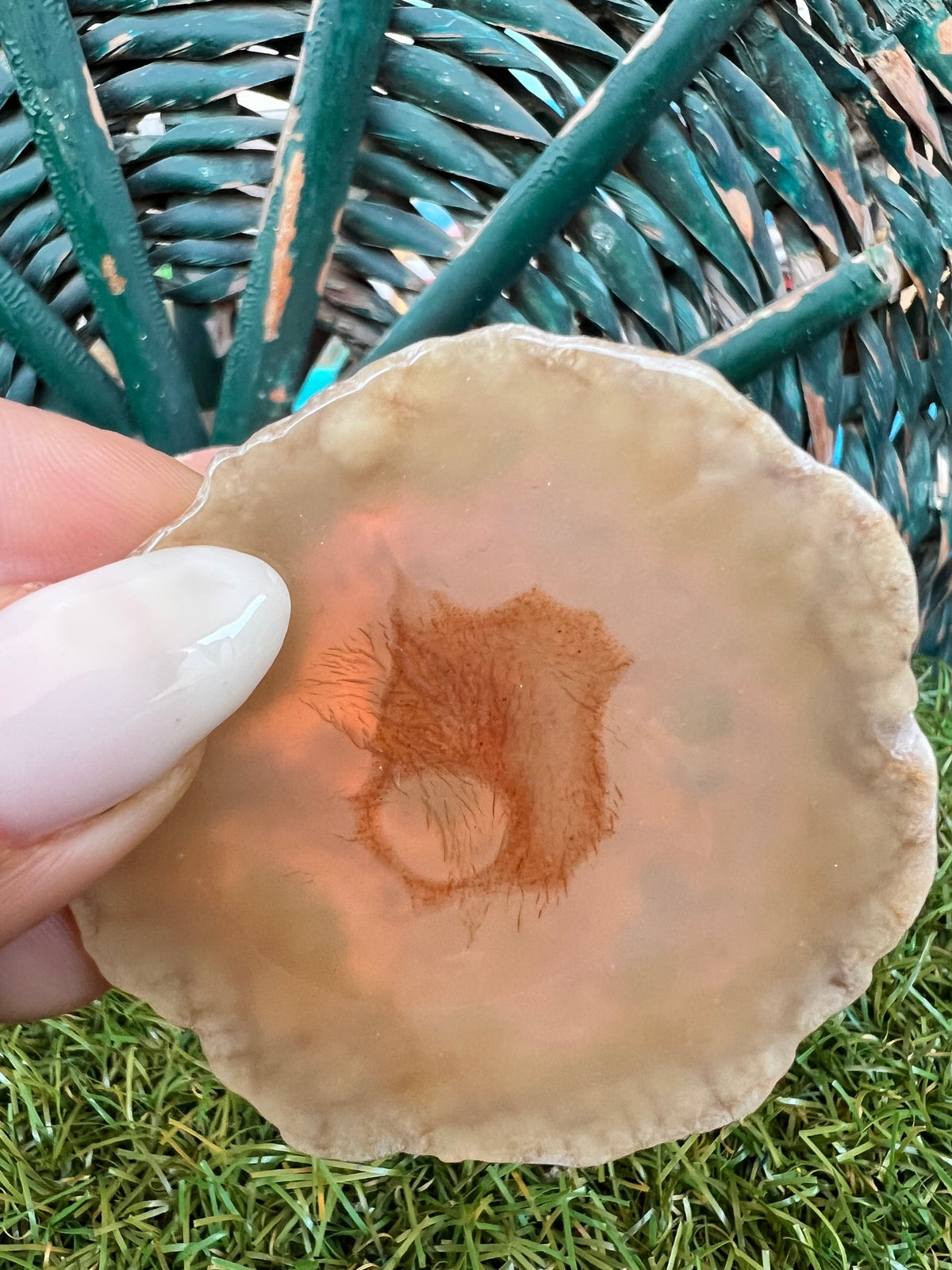 Natural Agate Eye Slice – Protection, Intuition & Grounding | 46g