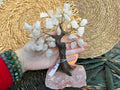Natural Rose Quartz Crystal Tree on Rose Quartz Base