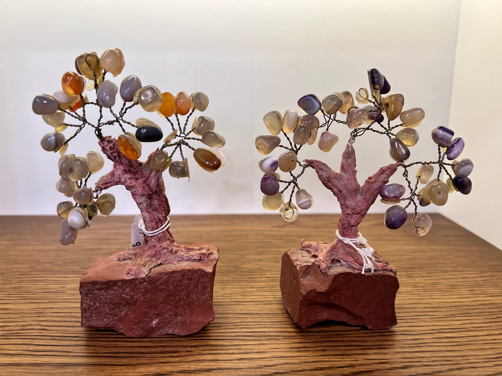 Natural Polished Agate Crystal Tree on Raw Jasper Base