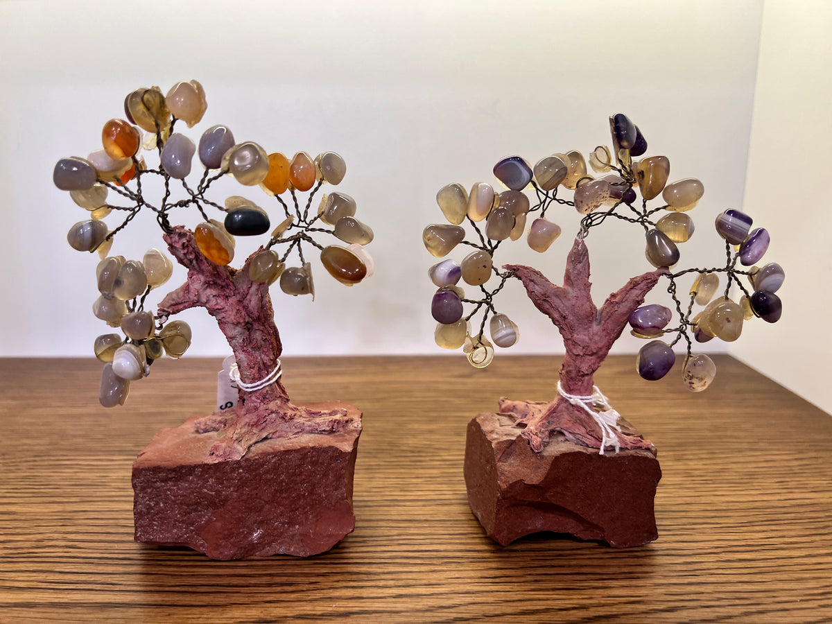 Natural Polished Agate Crystal Tree on Raw Jasper Base