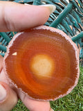 Natural Agate Eye Slice – Grounding, Balance & Protection | 36 g