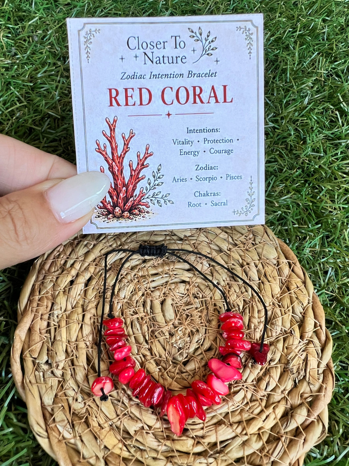 Red Coral Zodiac Bracelet – Vitality, Protection & Courage | Aries, Scorpio & Pisces