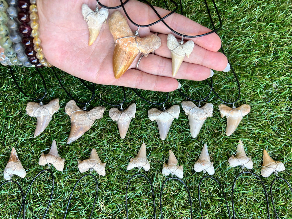 Genuine Fossilized Shark Tooth Necklace | Millions of Years Old | Adjustable Cord | Medium & Large