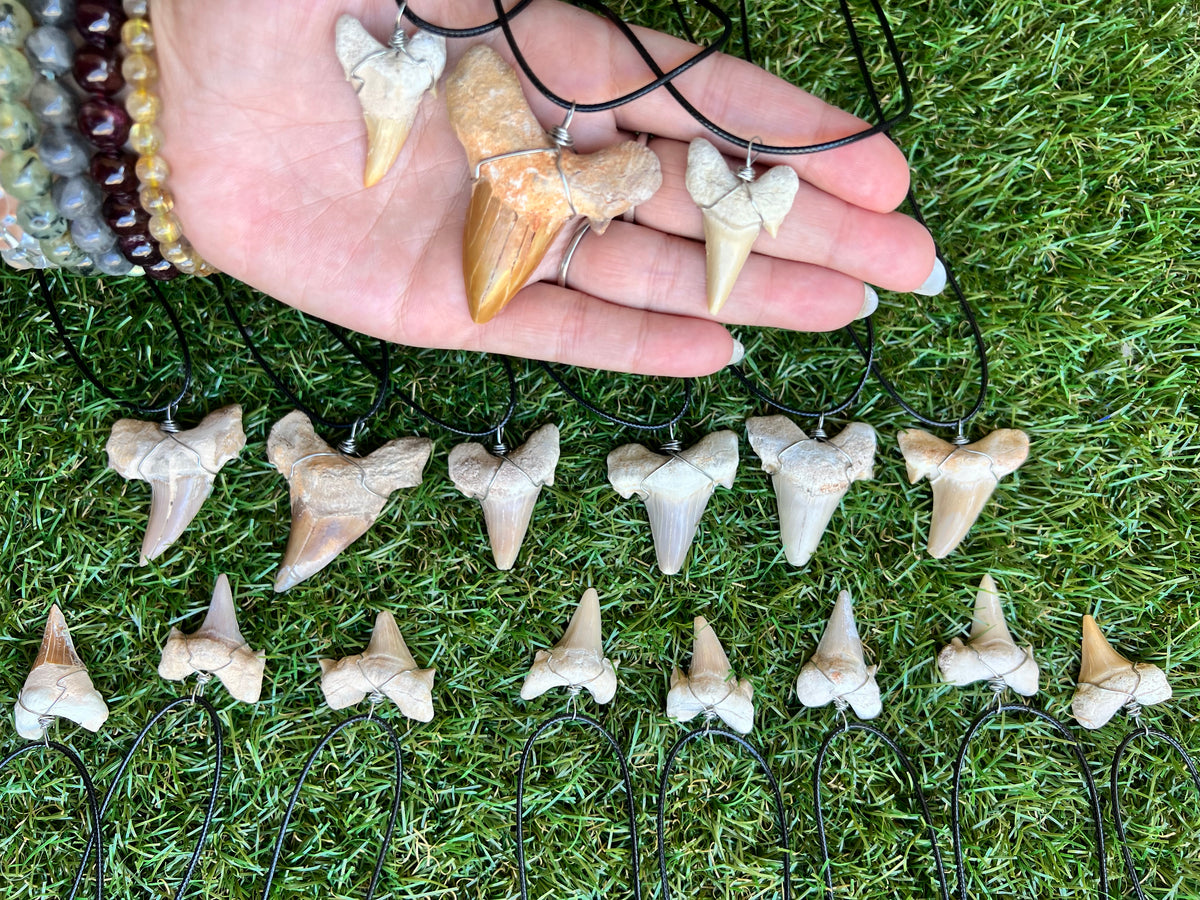 Genuine Fossilized Shark Tooth Necklace | Millions of Years Old | Adjustable Cord | Medium & Large