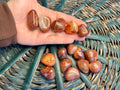 Natural Carnelian Tumbled Stone