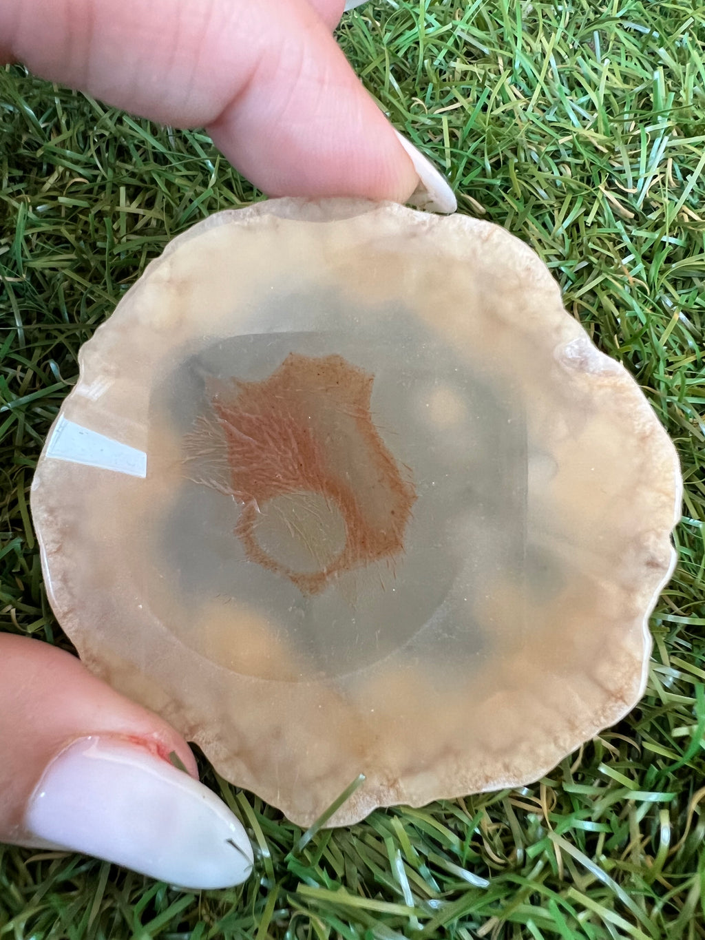 Natural Agate Eye Slice – Protection, Intuition & Grounding | 46g
