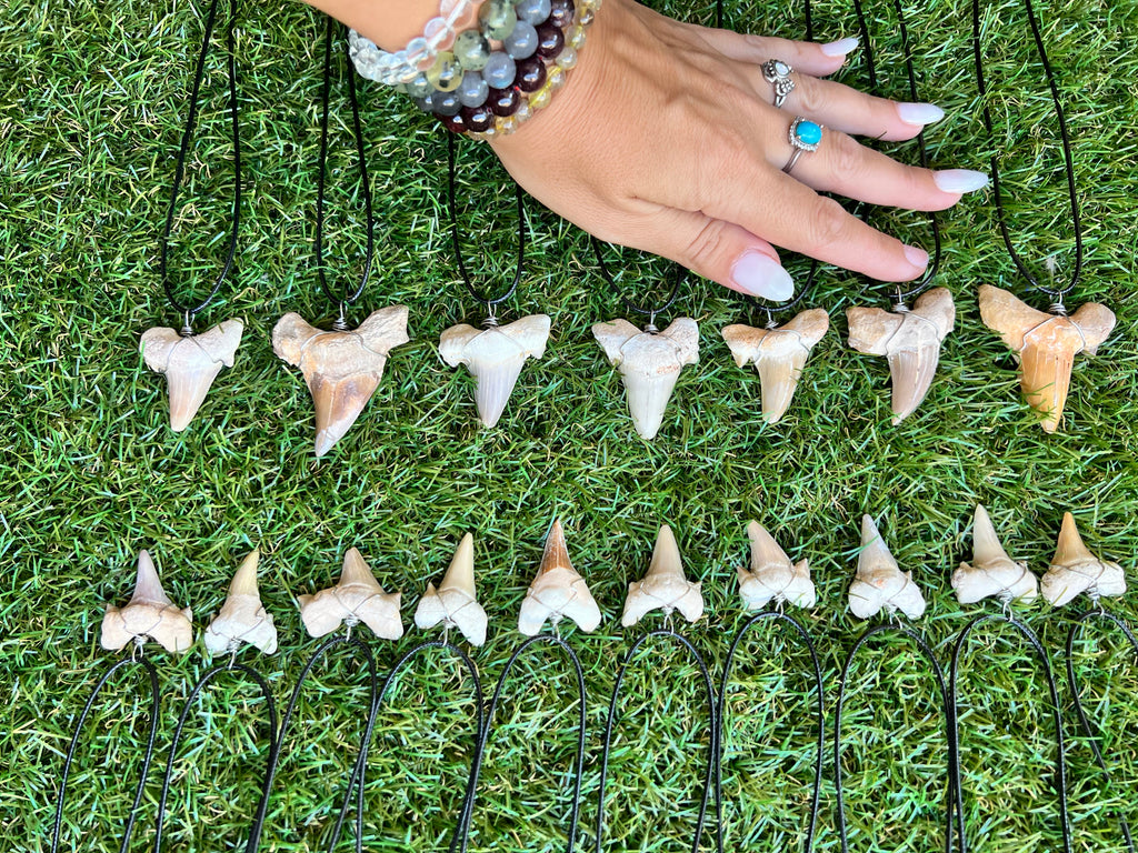 Genuine Fossilized Shark Tooth Necklace | Millions of Years Old | Adjustable Cord | Medium & Large