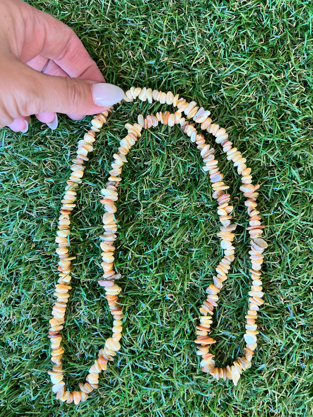 Natural Dyed Shell Chip Necklace | Lightweight Coastal Style Necklace