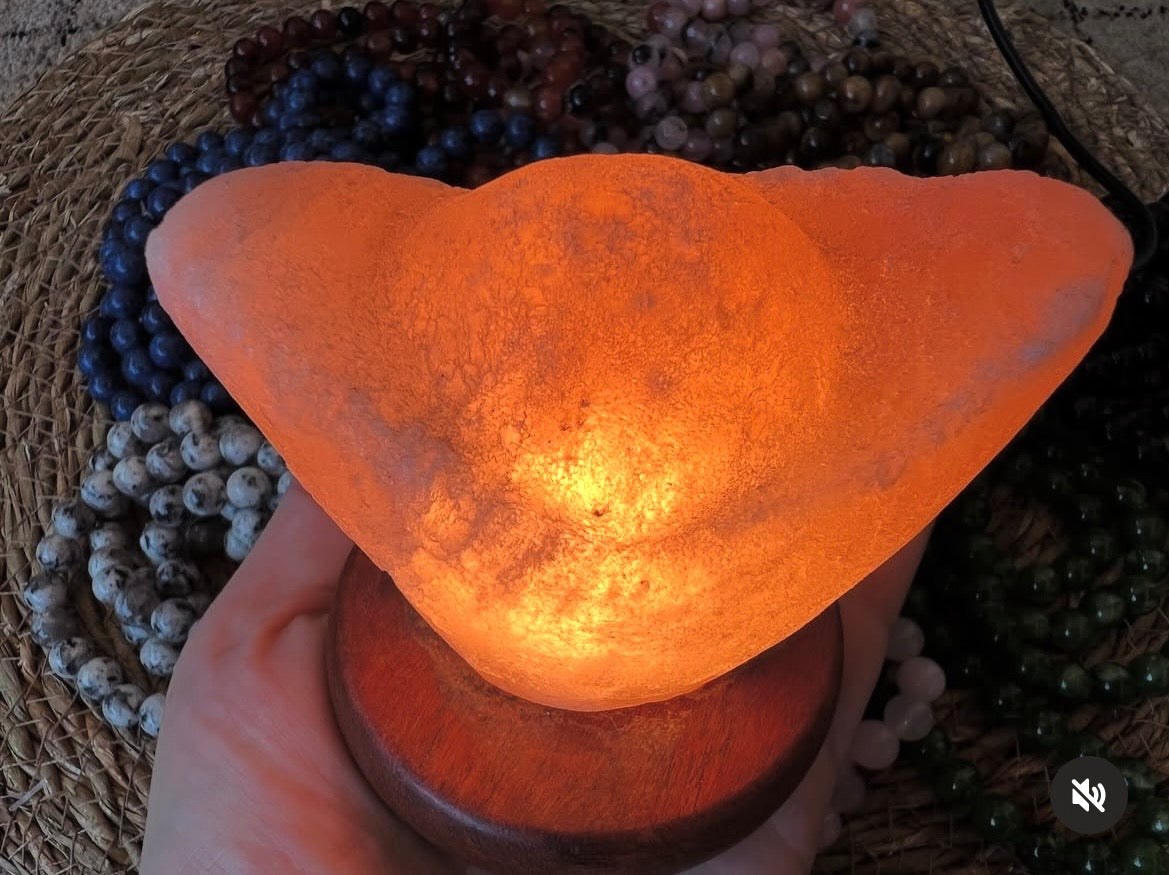 Purifying Himalayan Salt Lotus Lamp
