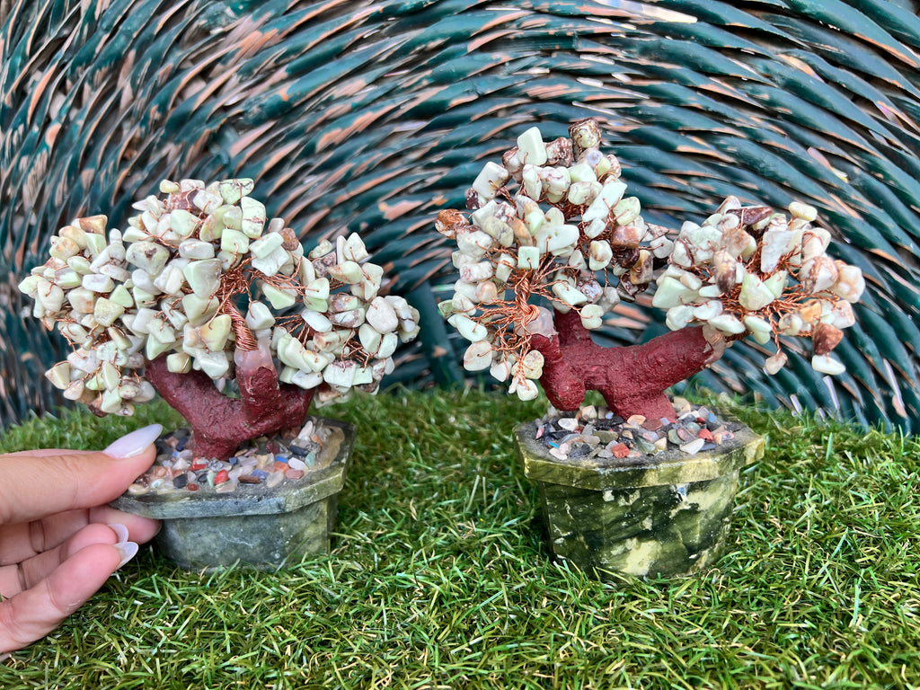 Natural Chrysoprase Bonsai Tree | Genuine Gemstone Tree in a Hand-Carved Natural Green Stone Pot | Growth & Prosperity