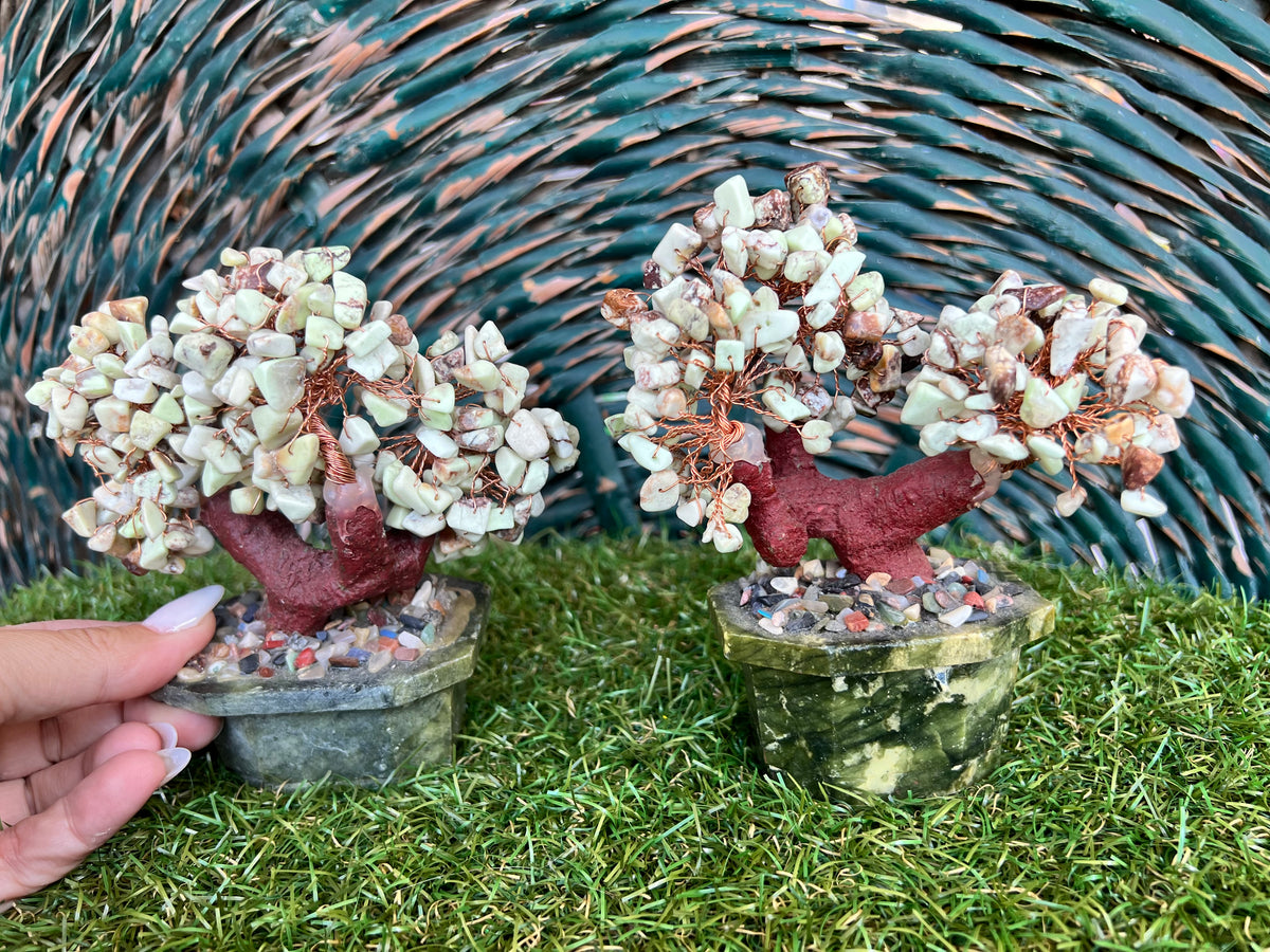 Natural Chrysoprase Bonsai Tree | Genuine Gemstone Tree in a Hand-Carved Natural Green Stone Pot | Growth & Prosperity