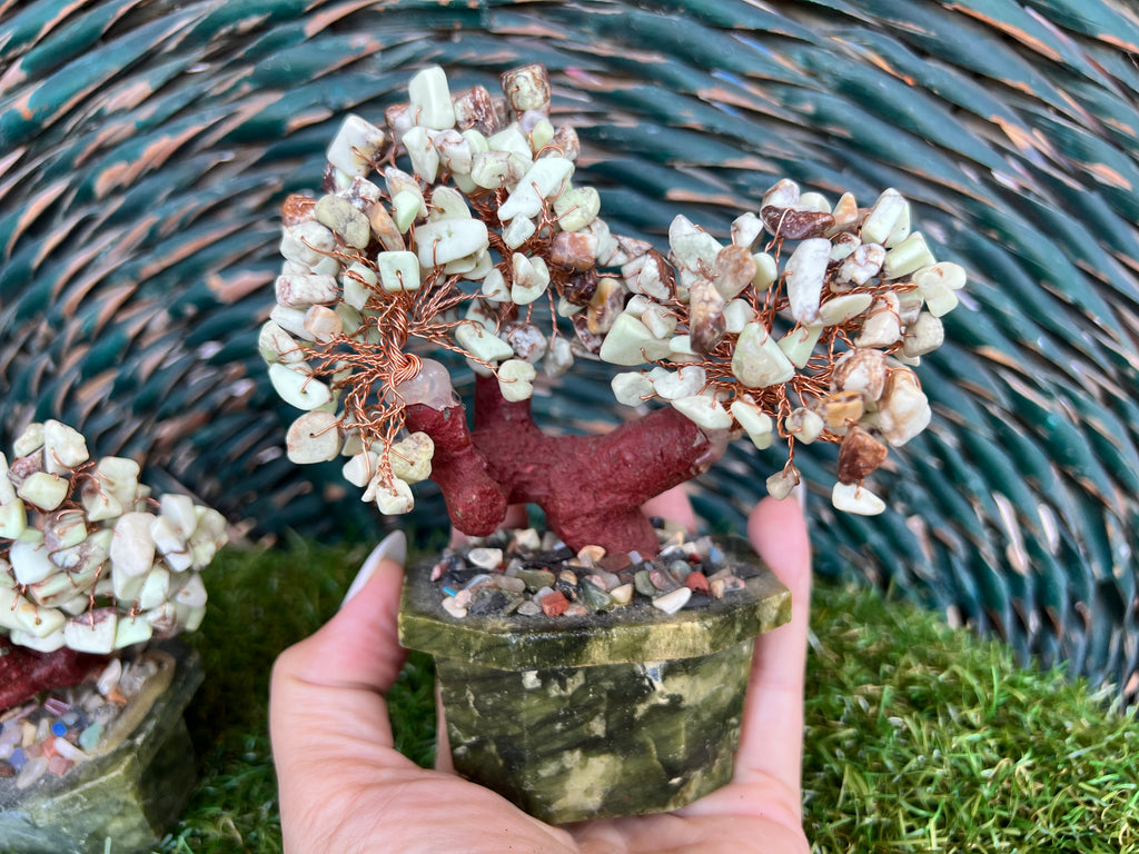 Natural Chrysoprase Bonsai Tree | Genuine Gemstone Tree in a Hand-Carved Natural Green Stone Pot | Growth & Prosperity