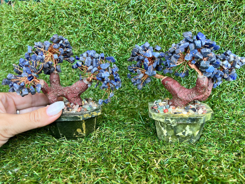 Natural Sodalite Bonsai Tree | Genuine Gemstone Tree in a Hand-Carved Natural Green Stone Pot | Wisdom & Communication