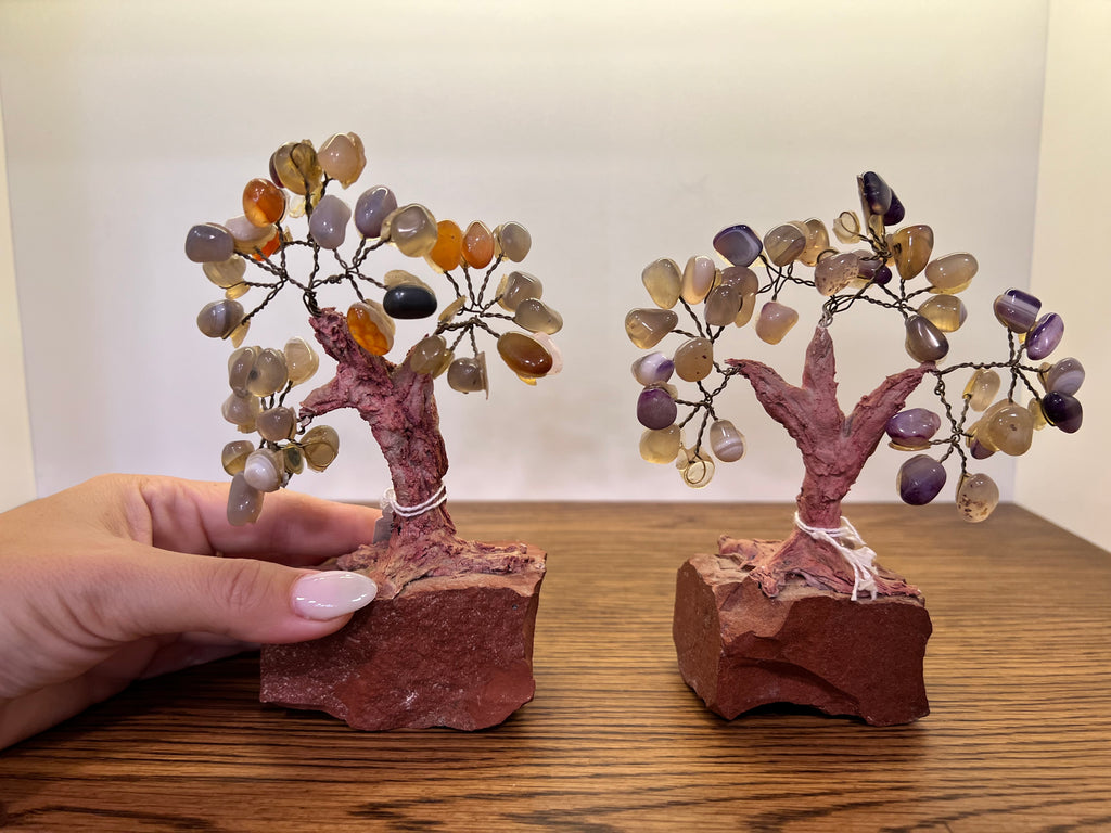 Natural Polished Agate Crystal Tree on Raw Jasper Base